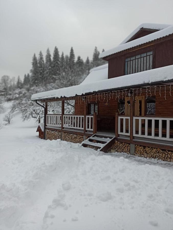 Apartment тарниця Krivorovnya