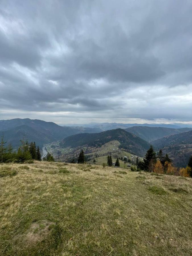 Apartament тарниця