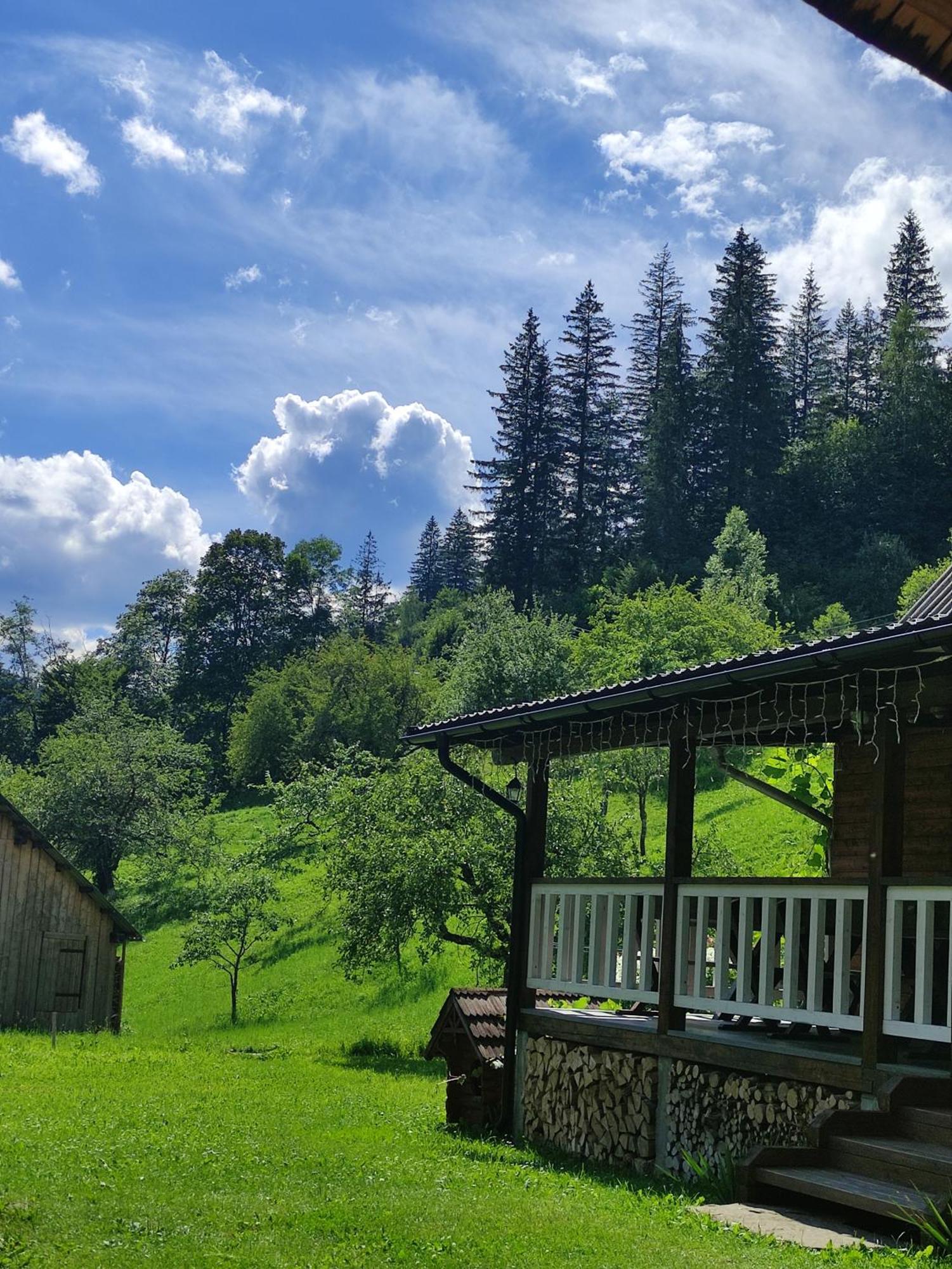 тарниця *